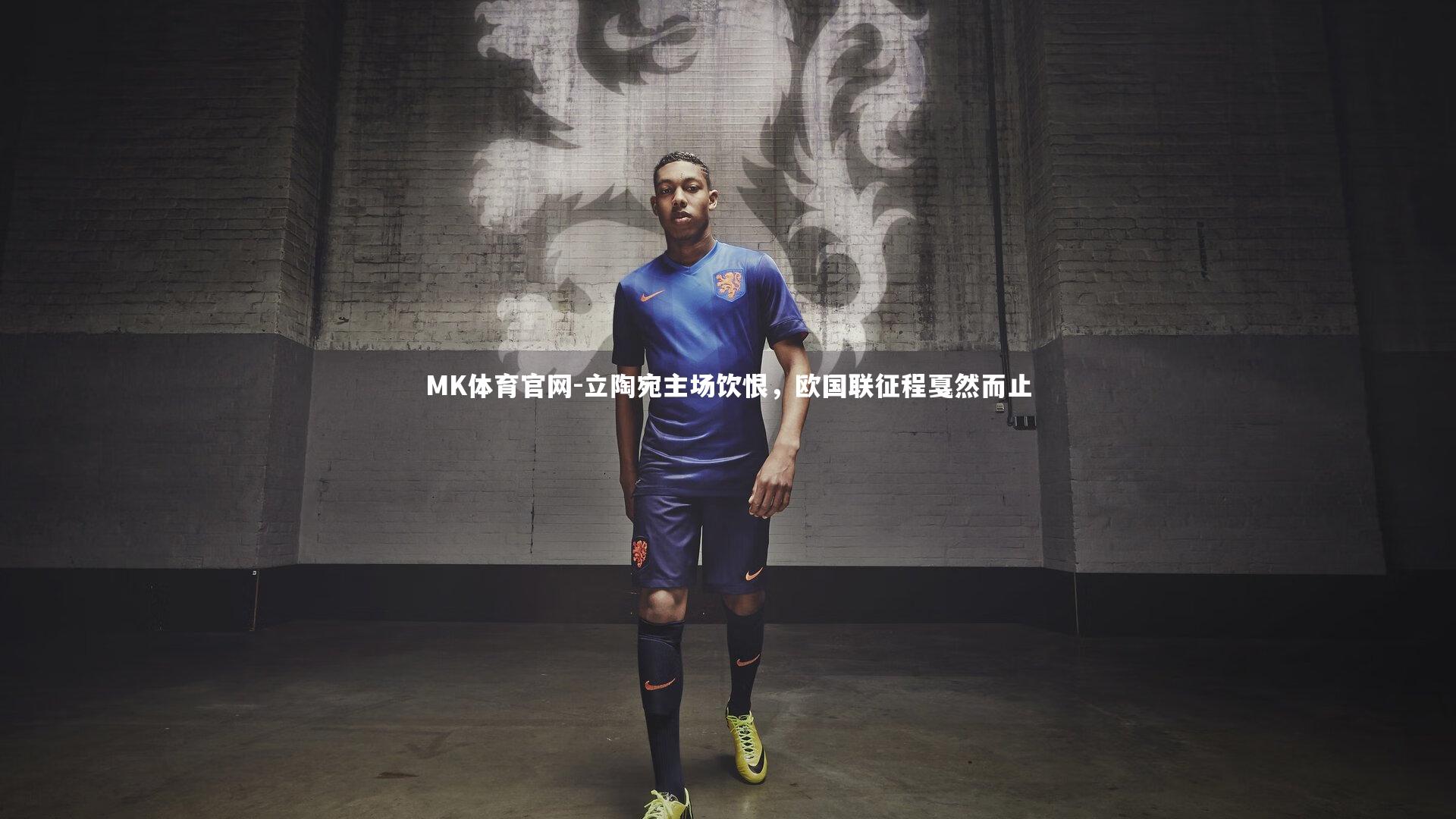 MK体育官网-立陶宛主场饮恨，欧国联征程戛然而止